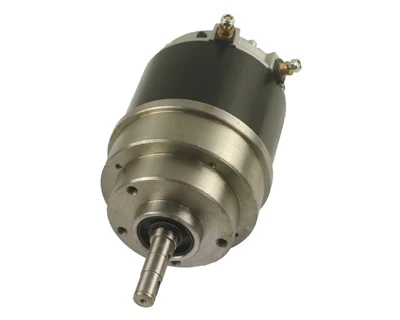Gaffeltruckdelar DC 24V/750W drivmotor för Ep-palltruckar (ZD044B-750W24V)