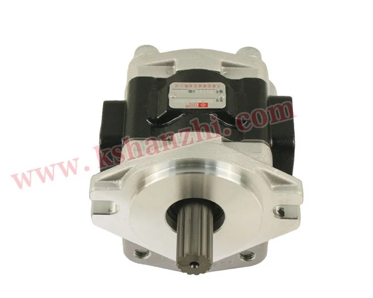 TGP2-36A1H1-L9162D Hydraulic Pump For Hc